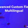 Advanced Custom Fields Multilingual