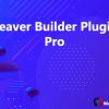 Beaver Builder Plugin Pro