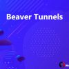 Beaver Tunnels