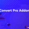 Convert Pro Addon