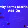Gravity Forms Batchbook Add-On