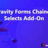 Gravity Forms Chained Selects Add-On