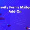 Gravity Forms Mailgun Add-On