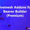 Livemesh Addons for Beaver Builder (Premium)