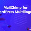 MailChimp for WordPress Multilingual