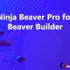 Ninja Beaver Pro for Beaver Builder