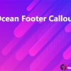 Ocean Footer Callout