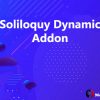 Soliloquy Dynamic Addon