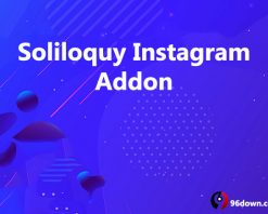Soliloquy Instagram Addon