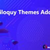 Soliloquy Themes Addon