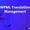 WPML Translation Management