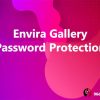 Envira Gallery Password Protection Addon