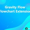 Gravity Flow Flowchart Extension