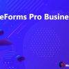 weForms Pro Business