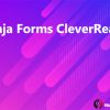 Ninja Forms CleverReach