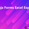 Ninja Forms Excel Export