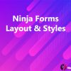 Ninja Forms Layout & Styles