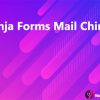 Ninja Forms Mail Chimp