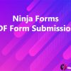 Ninja Forms PDF Form Submissions