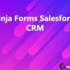 Ninja Forms Salesforce CRM