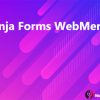 Ninja Forms WebMerge