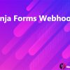 Ninja Forms Webhooks