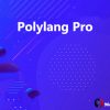 Polylang Pro