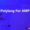 Polylang For AMP