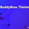 BuddyBoss Theme