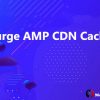 Purge AMP CDN Cache