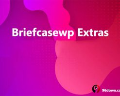 Briefcasewp Extras