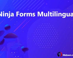 Ninja Forms Multilingual