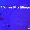 WPForms Multilingual