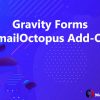 Gravity Forms EmailOctopus Add-On